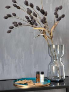 Elegant Studio on Market Square