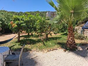 Caravan in Finca Molino in Almayate with with pool, family touch and dog madness