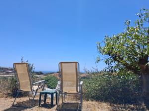 Caravan in Finca Molino in Almayate with with pool, family touch and dog madness