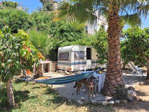 Caravan in Finca Molino in Almayate with with pool, family touch and dog madness