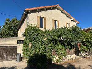 Villas Villa famillilale saint tronc : photos des chambres