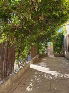 Villas Villa famillilale saint tronc : photos des chambres