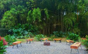 finca turística DanuBio Alojamiento Rural Pereira Risaralda