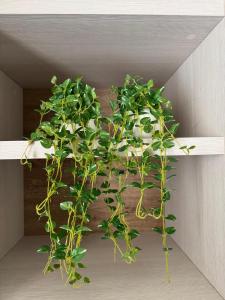 Monte Generoso Rooms