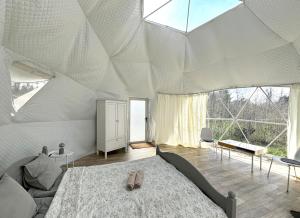 Bubble House glamping telk