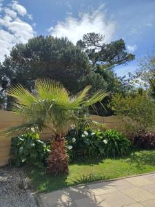 Maisons de vacances Maison tout confort au calme a 300m de la mer et du GR34 avec jardin : photos des chambres