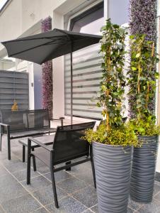 Apartament typu studio Morski Sen-centrum