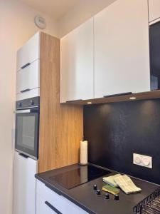 Appartements Charmant logement face aux quais de Quimper : photos des chambres