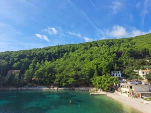 Vacation home in Pelinovik bay