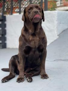 Casa Venado - Finca Oaxaca