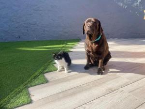 Casa Quetzal - Finca Oaxaca