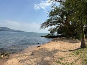 Sweta Takawiri island Shamba house