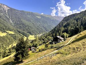 Grand Chalet du Mayen de Planraveire