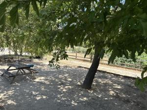 Villas Luxury air-conditioned villa pool views Aix-en-Provence LS7-457 : photos des chambres