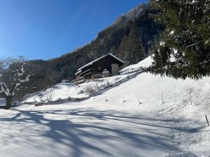 Grand Chalet du Mayen de Planraveire