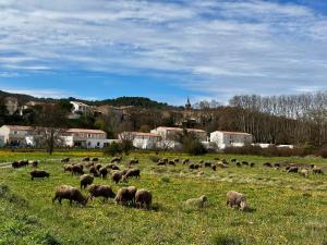 Le 27 Grimaldi - T2 de 50m2