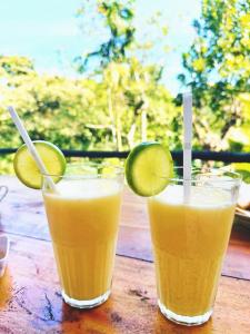 ELLA GREEN SHELTER free pickup