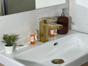 Appartements Appart Jardin Lac Casino Enghien Les Bains 15 min Paris : photos des chambres
