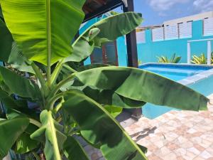 BLR Villas Dover Beach