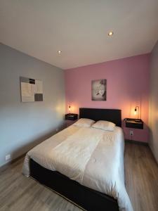 Chambre Rêve en Rose - WIFI - TV