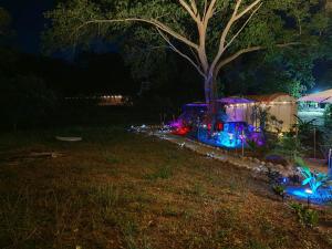 Novaglamp Alma, amor y bosque