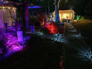 Novaglamp Alma, amor y bosque