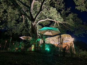 Novaglamp Alma, amor y bosque