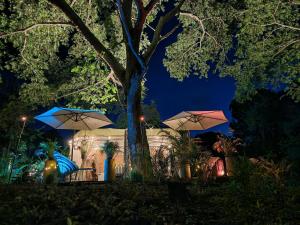 Novaglamp Alma, amor y bosque