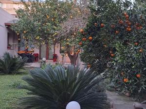 B&b Il Giardinetto img28