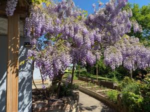 Maisons d'hotes le chemin du meunier : photos des chambres