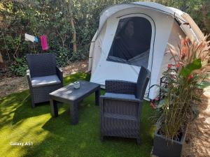 B&B / Chambres d'hotes La Palmeraie : photos des chambres