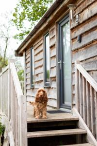 Lapwing Lodge Riverdale