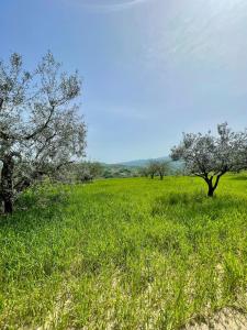 La porta del Gran Sasso