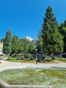 Appartements Nid perche aux Eaux-Bonnes : photos des chambres