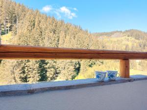 Калиновата къща