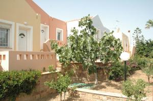 Toulipa Rooms