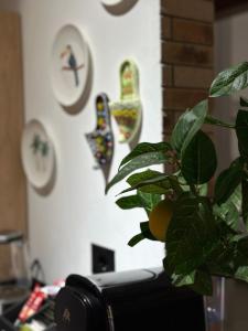 Sunset Apartments Lungomare