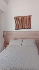 Departamento El Pato