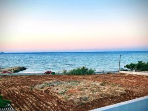 Onar seaside experience