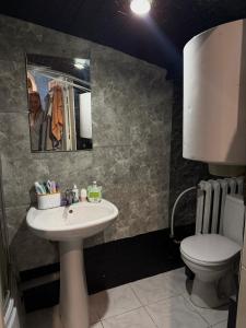 Центр с двориком 2к Одесса с животными тварини посуточно подобово