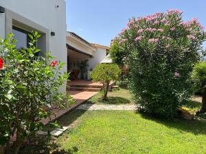Villa Margiu img44