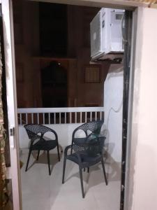 الاسكندرية ميامى