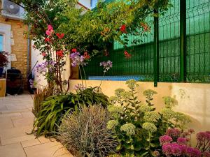 Appartements Maison cocooning : photos des chambres