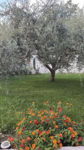 Apartments Lovor & Lavanda