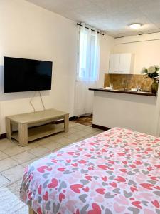 Appartements Studio Carcassonne Hyper Centre : photos des chambres