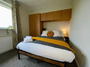 Spacious Town Centre Apartment