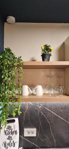 Olive Garden Terracota Apartment