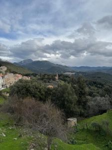 Appartement Lumière & Nature Cœur d Albitreccia
