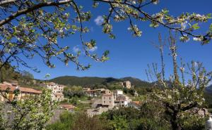Appartement Lumière & Nature Cœur d Albitreccia