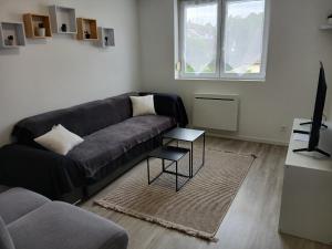 Appartements Petite pause a Selestat - Bis : Appartement 1 Chambre